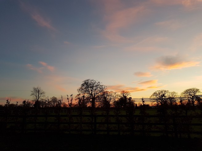 20190320_183454 copy.jpg