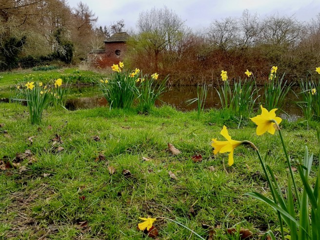 20190321_102820 copy.jpeg