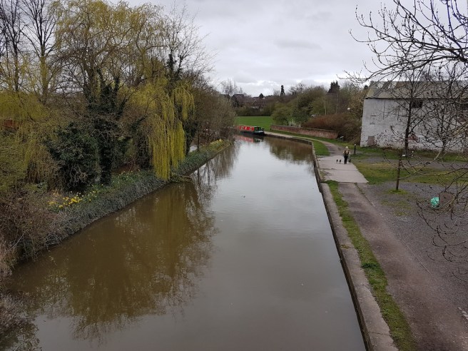 20190321_110835 copy.jpg