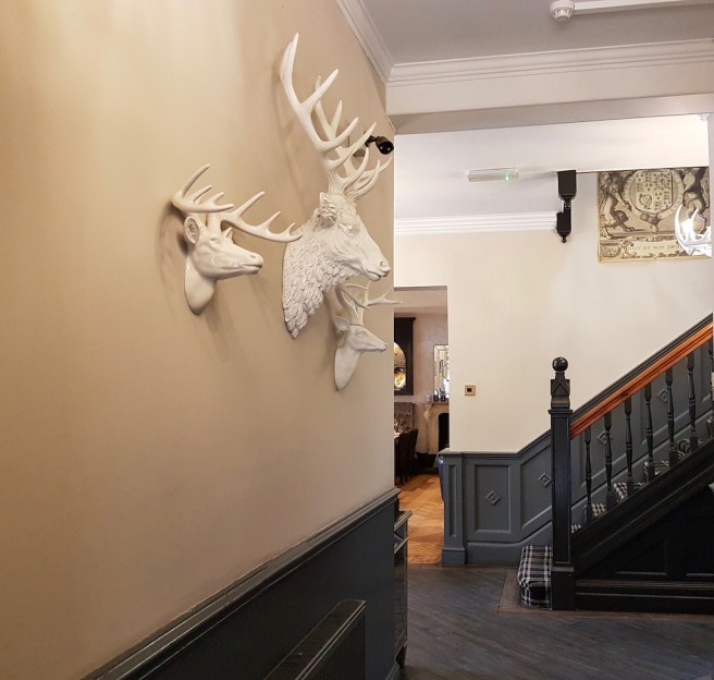 20190321_115638 copy.jpeg