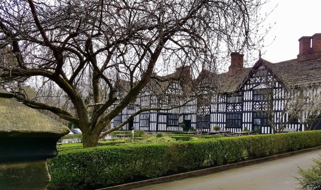 20190321_122636 copy.jpeg