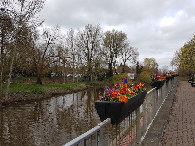 20190321_150725 copy.jpg