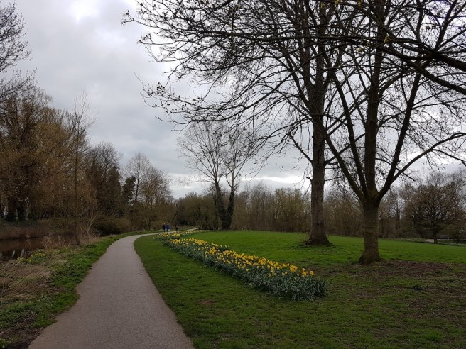 20190321_150944 copy.jpg