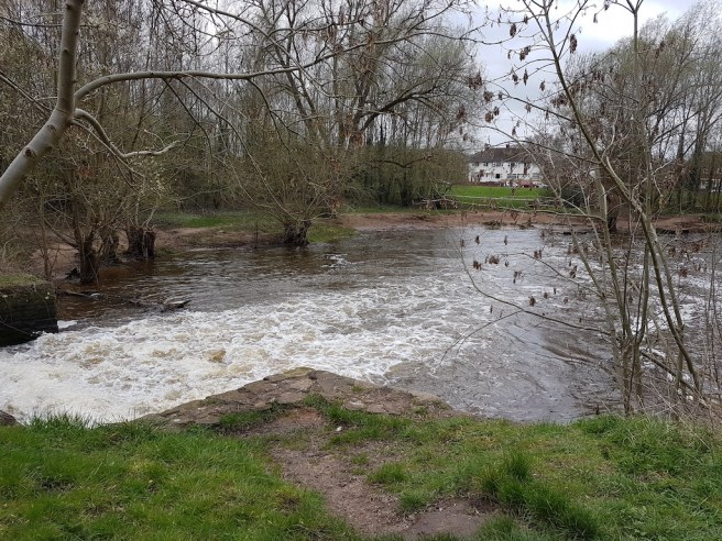 20190321_151137 copy.jpg