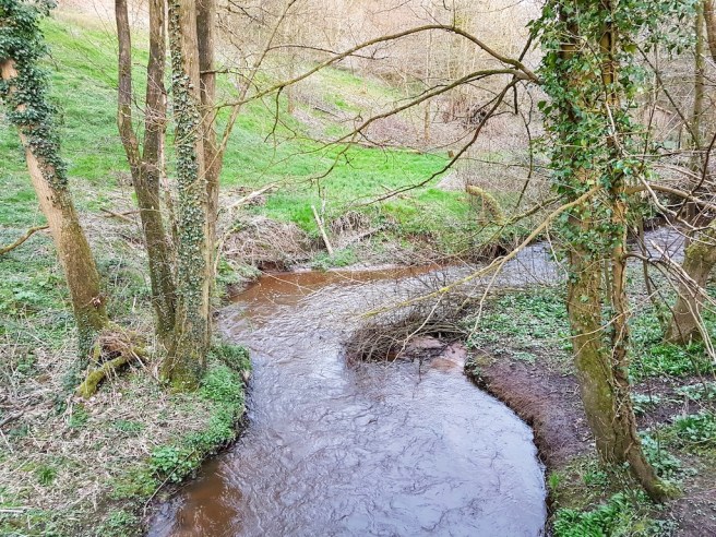 20190321_175322 copy.jpeg