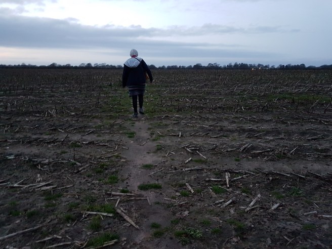 20190321_184340 copy.jpg