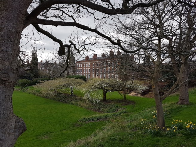 20190322_113923 copy.jpg