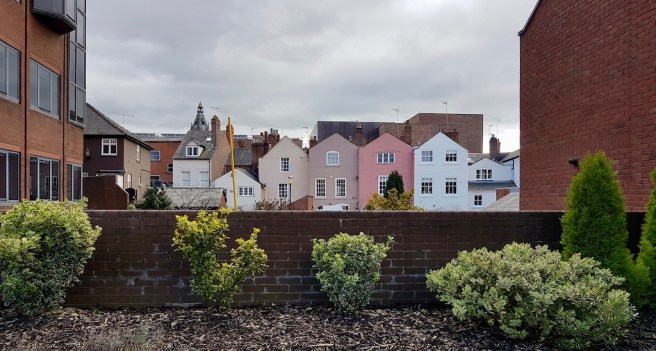 20190322_114454 copy.jpeg