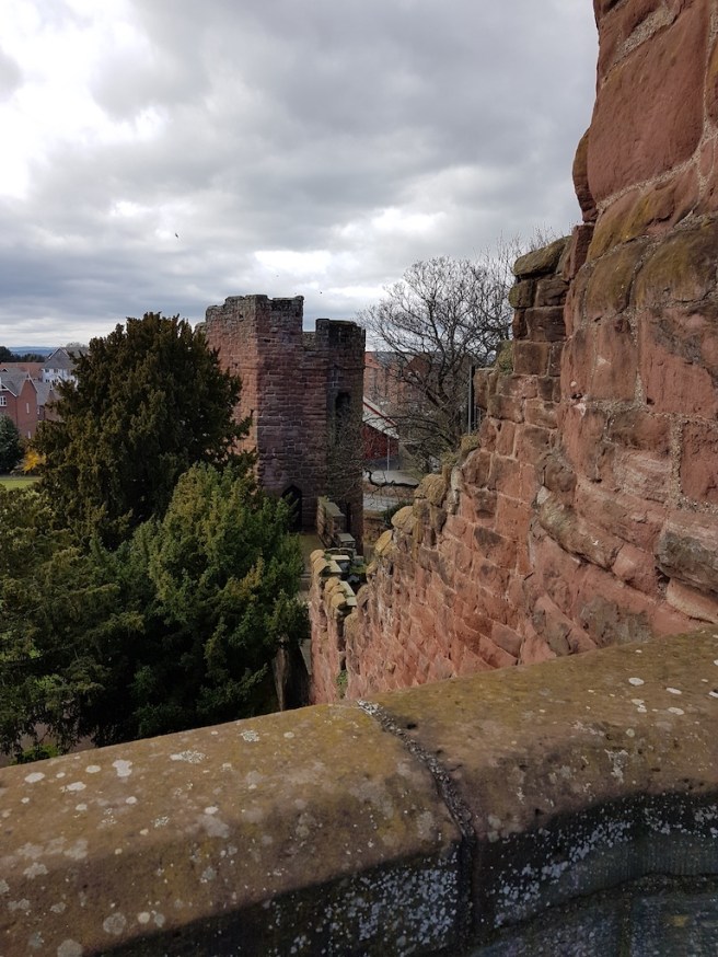 20190322_115352 copy.jpg