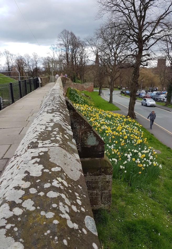 20190322_121517 copy.jpeg