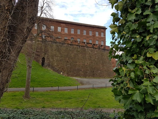 20190322_121724 copy.jpg