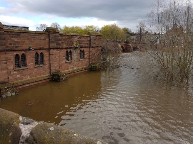 20190322_122310 copy.jpeg