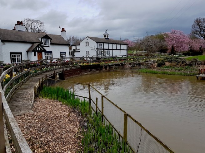 20190322_175115 copy.jpeg