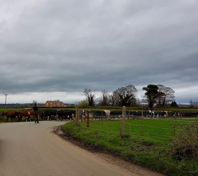 20190322_175650 copy.jpeg