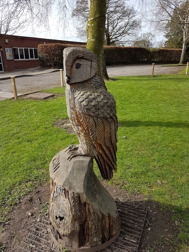 20190323_112020 copy.jpg