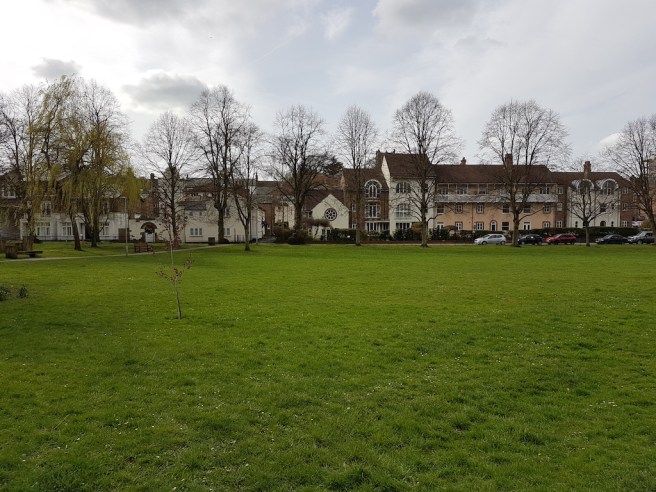 20190323_124455 copy.jpg