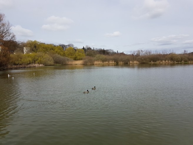 20190323_124733 copy.jpg