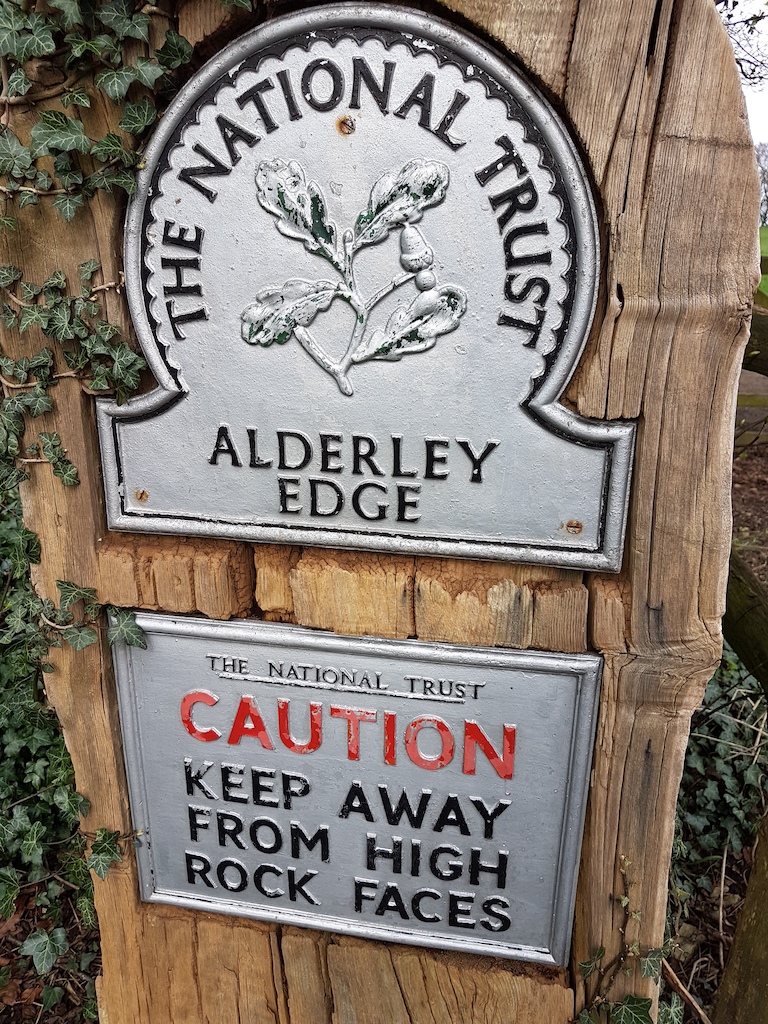 20190323_134654 copy.jpg