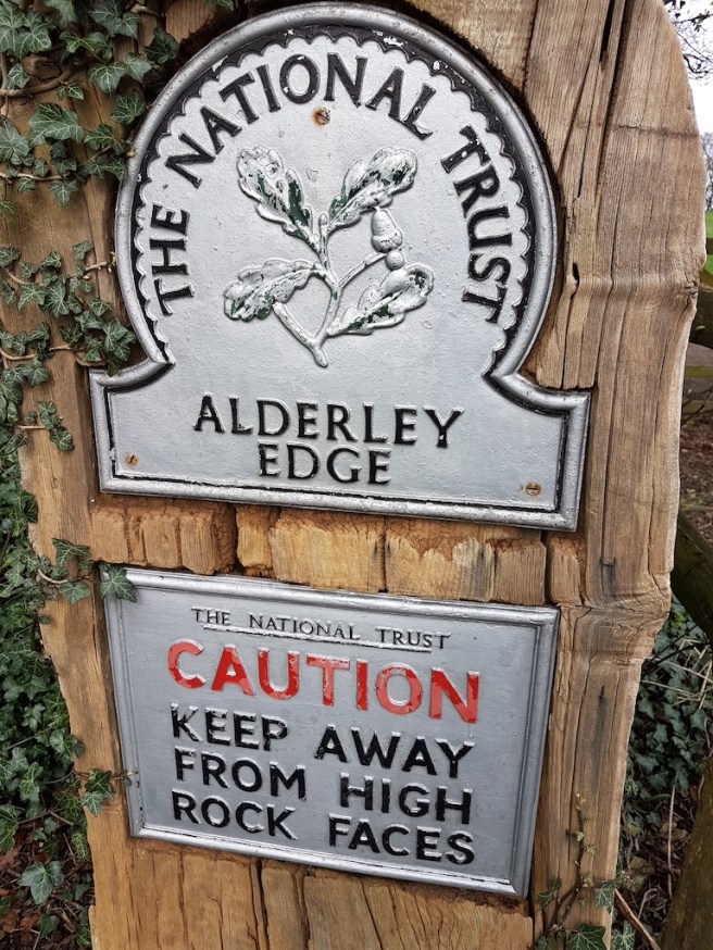 20190323_134654 copy.jpg