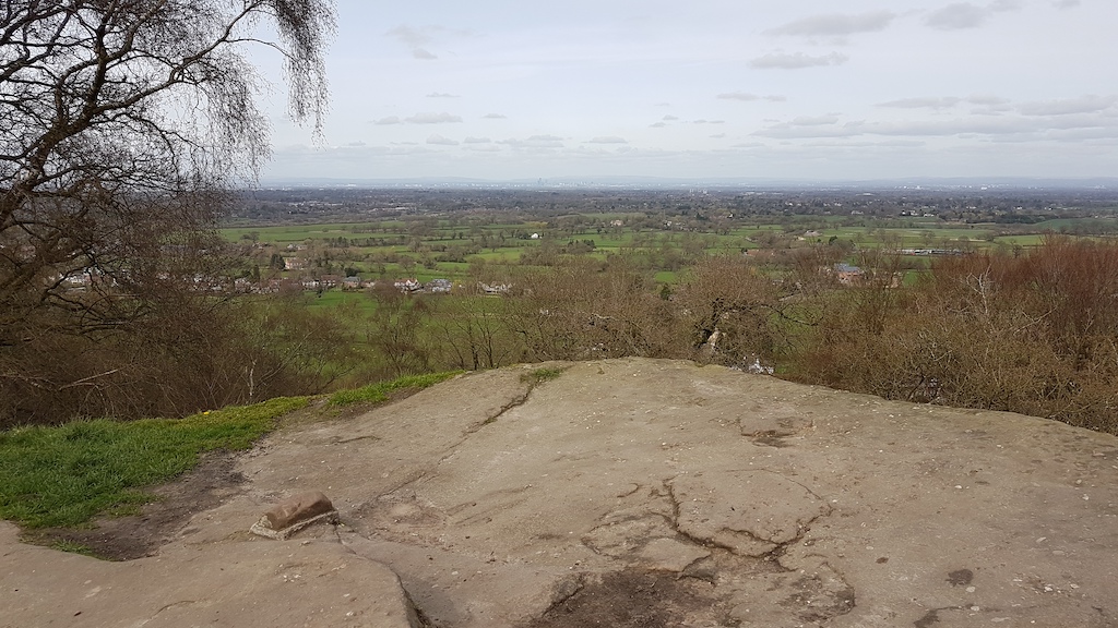 20190323_135018 copy.jpg