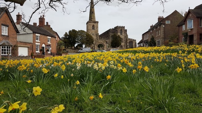 20190323_145747 copy.jpg