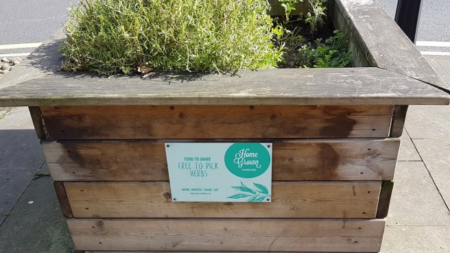 20190324_113658 copy.jpeg