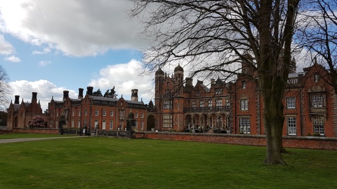 20190324_121548 copy.jpg