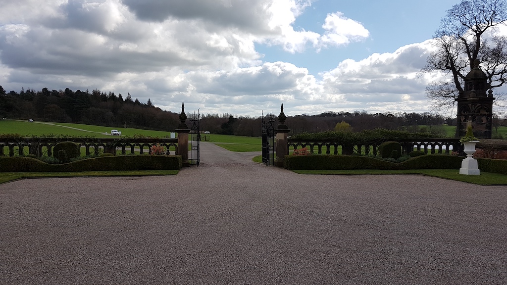 20190324_121745 copy.jpg