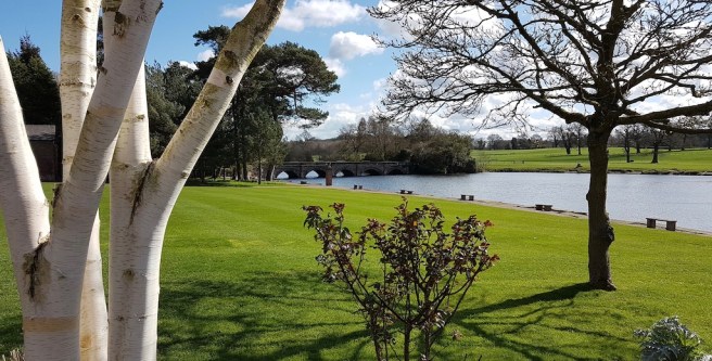 20190324_130558 copy.jpeg