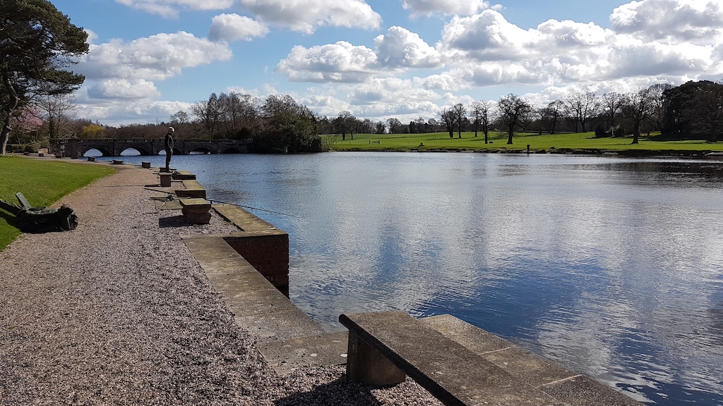 20190324_130638 copy.jpg