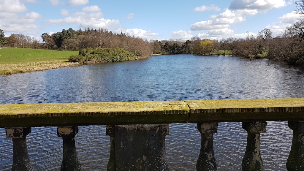 20190324_131011 copy.jpg