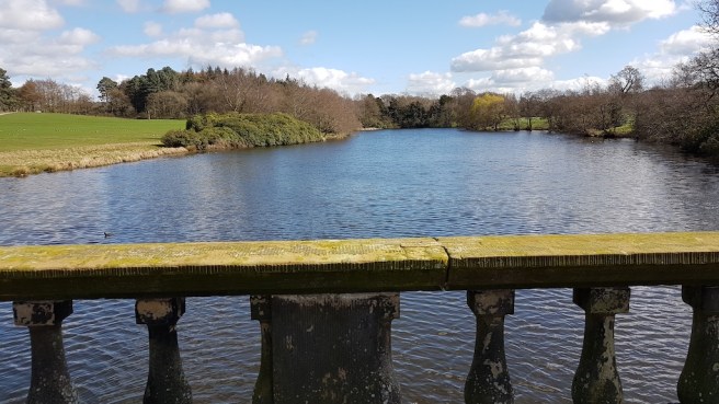 20190324_131011 copy.jpg