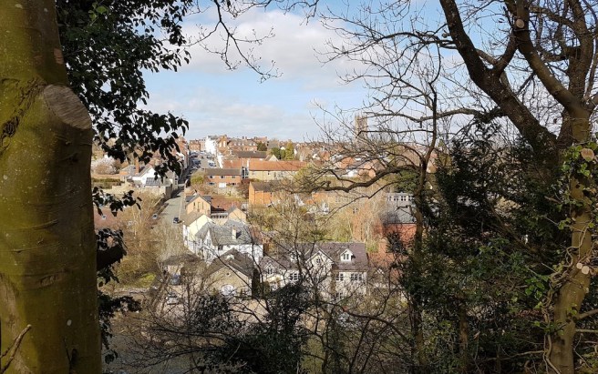 20190327_135803 copy.jpeg