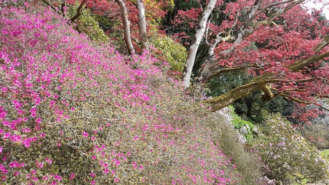 20190418_144959 copy.jpg