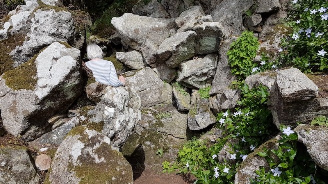 20190418_145026 copy.jpg