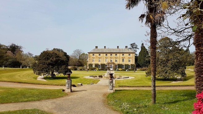 20190418_145247 copy.jpeg