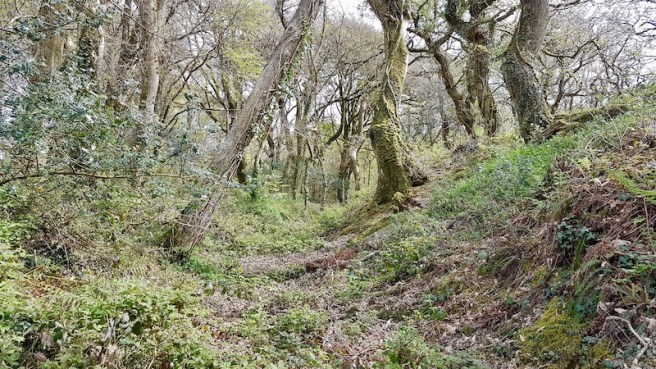 20190418_152102 copy.jpeg