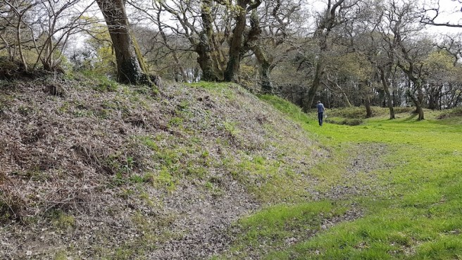 20190418_152345 copy.jpg