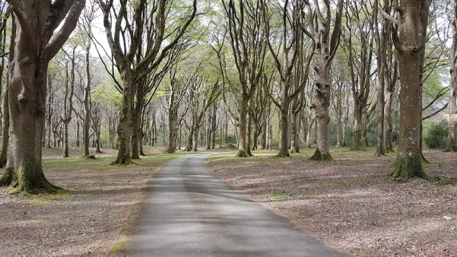 20190418_152904 copy.jpg