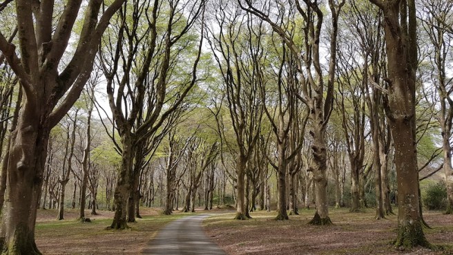 20190418_152910 copy.jpg