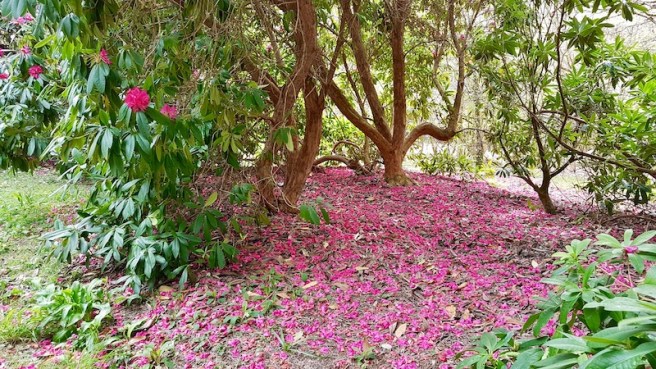 20190418_153720 copy.jpeg