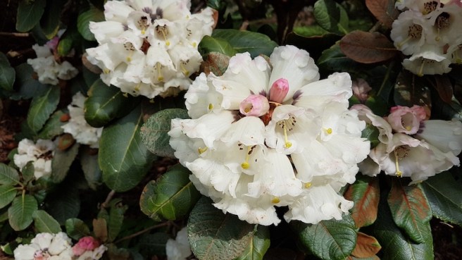 20190418_154124 copy.jpg