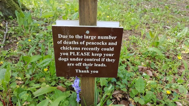 20190418_154600 copy.jpg