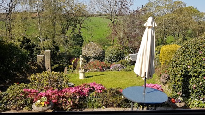 20190421_102621 copy.jpg