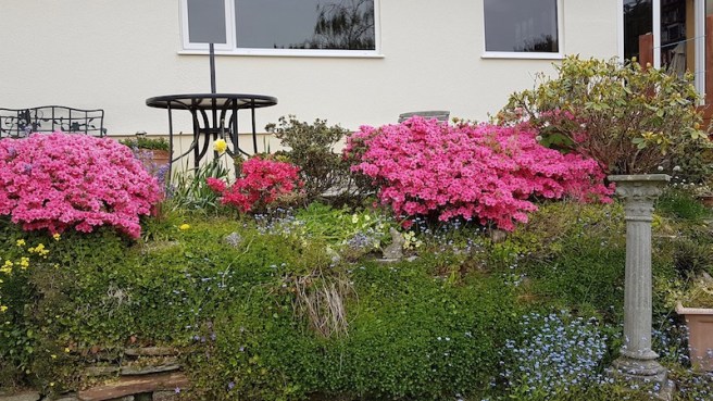 20190423_153320 copy.jpeg