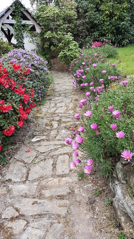 20190423_153404 copy.jpg