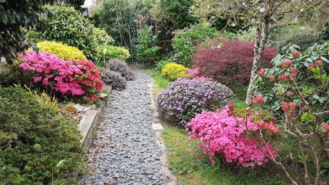 20190423_153430 copy.jpg