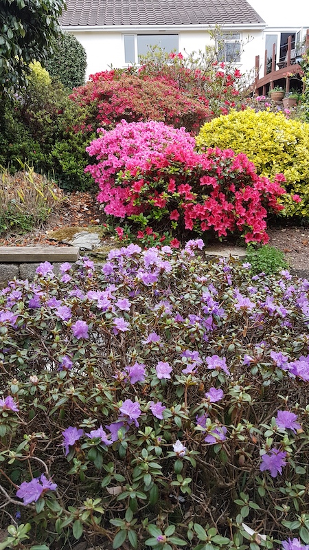 20190423_153450 copy.jpg