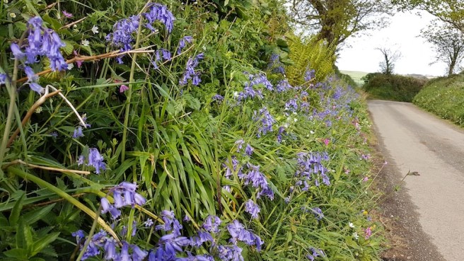 20190424_165305 copy.jpg