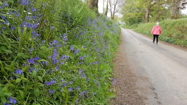 20190430_172338 copy.jpg